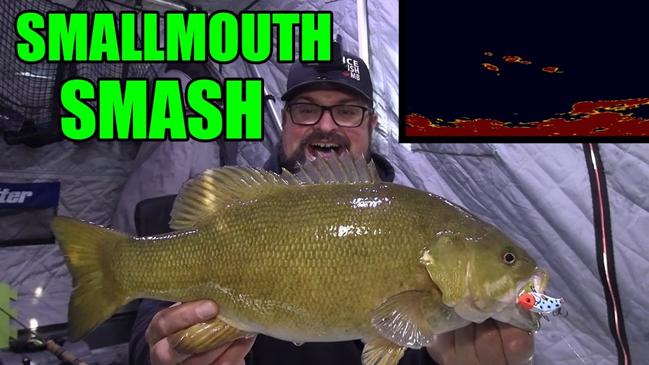 Smallmouth Bass Smash on the Mega Live!!