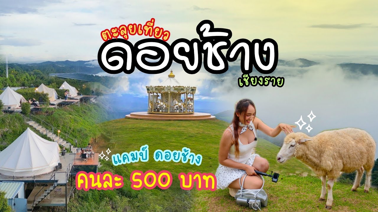 เที่ยว' ดอยช้าง เชียงราย 'นอนเต็นท์คนละ 500 บาท วิวสวยสุดจึ้ง! นั่งม้าหมุน เล่นกับน้องแกะตัวกลม.