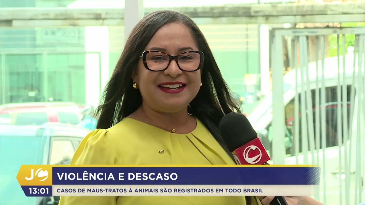 JC 1ª Ed - Casos Animais (29/01/2026)