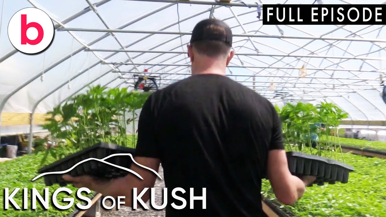 Kings of Kush | Season 1 Episode 3 | FULL EPISODE