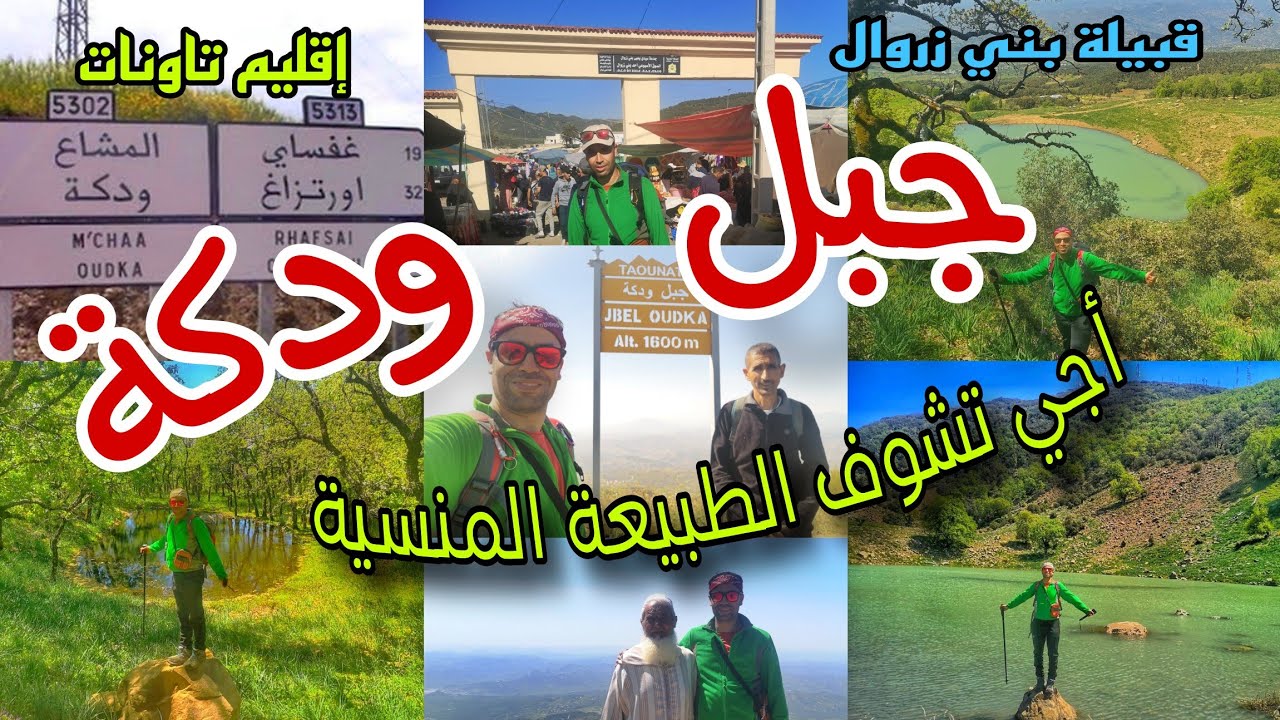 جبل ودكة: الجبل الشامخ وسط غابة كثيفة ومبتهجة بألوان اشجاره أعلى جبل في قبيلة بني زروال اقليم تاونات