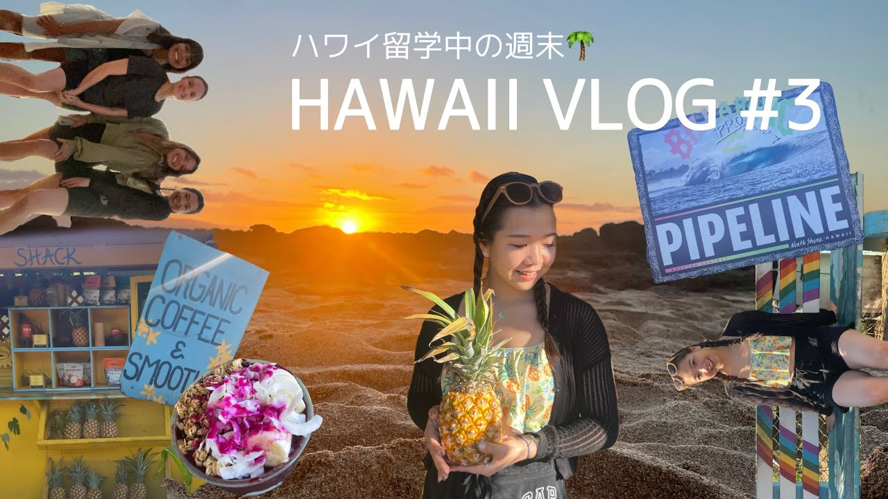 【Hawaii Vlog #3】first weekend| North Shore | 初めての週末🌞 | ドライブ🚗 |  EF Honolulu