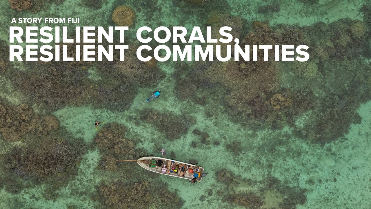 Resilient Corals, Resilient Communities - A story from Fiji / WWF-Australia