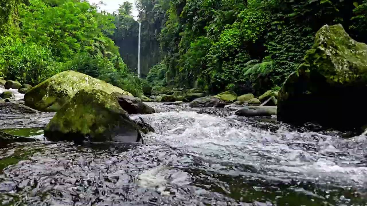 Tropical River to Hidden Waterfall 🌿💧 | Relaxing Nature Sounds (4K)