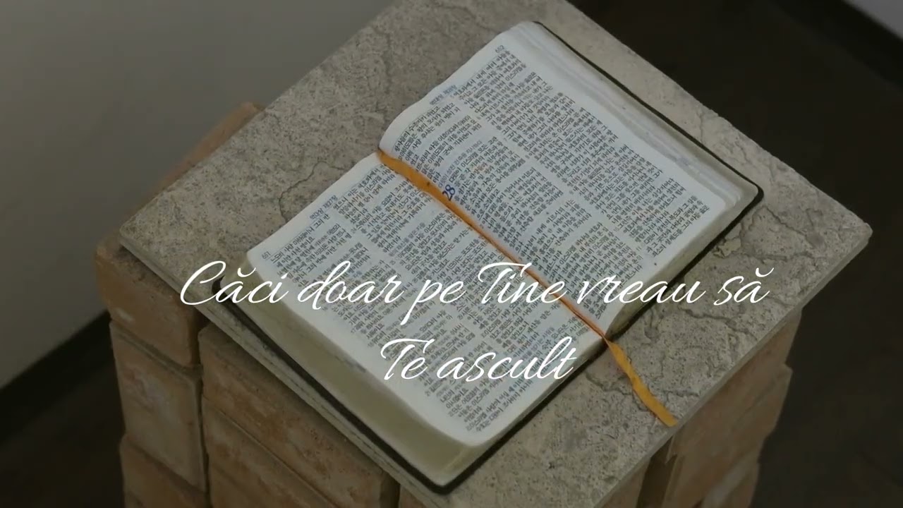 Aș vrea să Te slujesc- Daniel Chira 