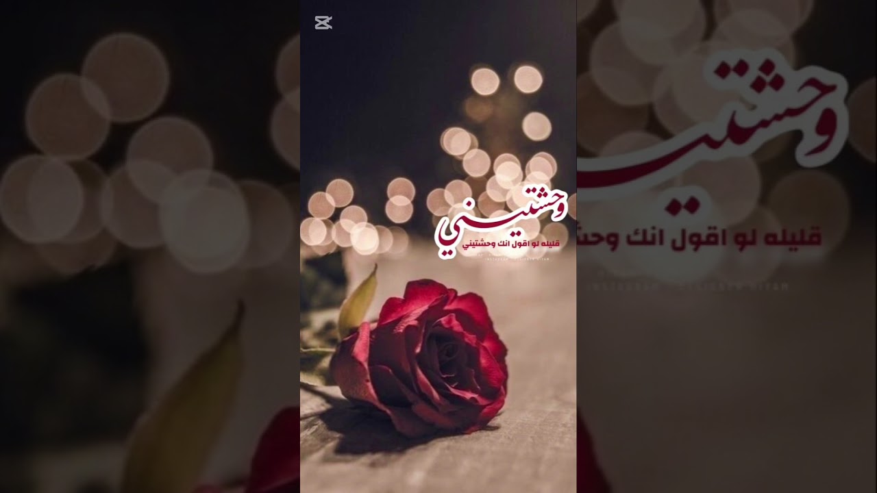 وحشتيني كلمات أحمد مجدي 