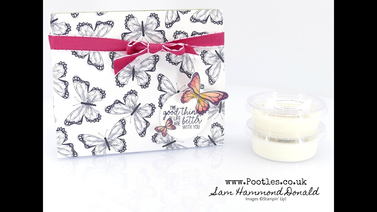 Botanical Butterfly Wax Melts Bag Decorated with Blends Alcohol Markers