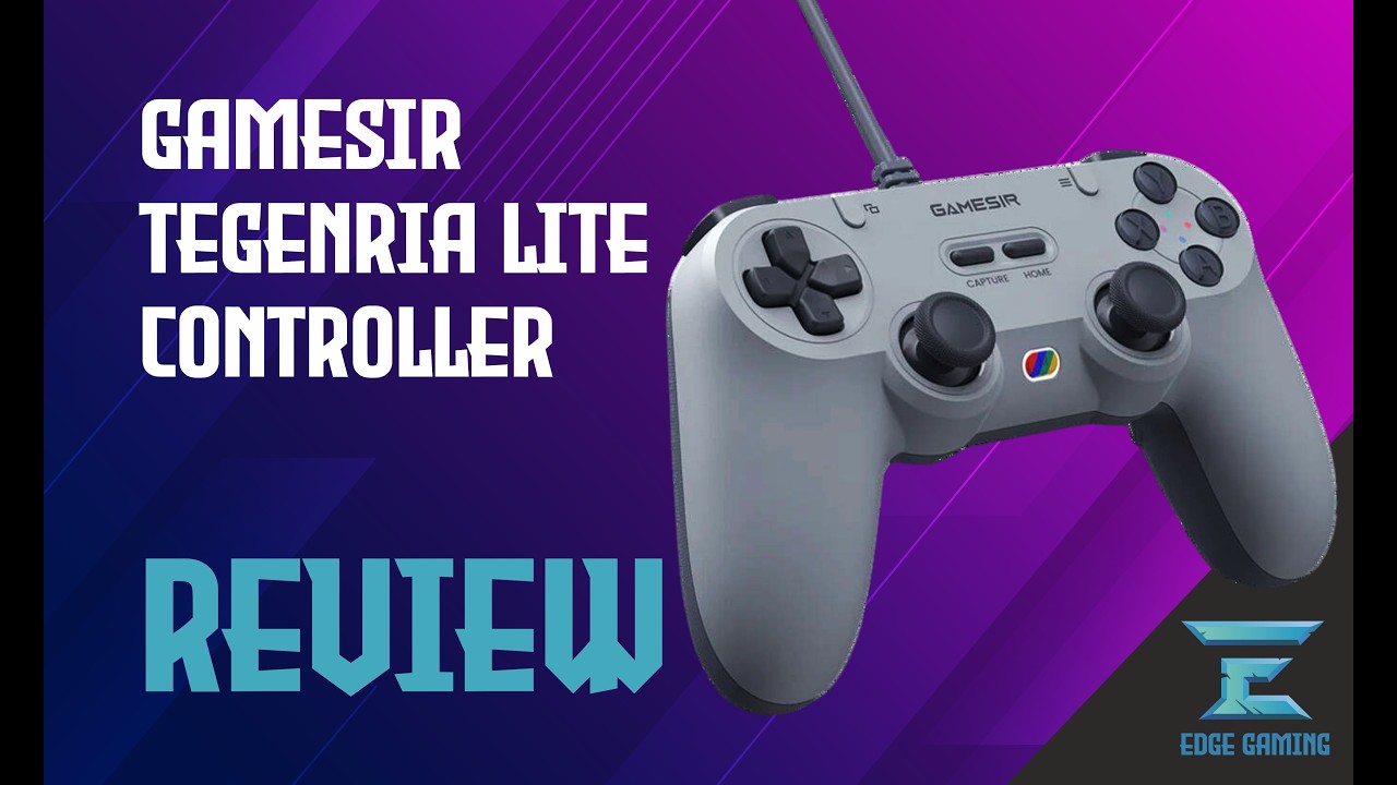 This $20 Controller Might Be the BEST Budget Fight Pad! | GameSir Tegenaria Lite