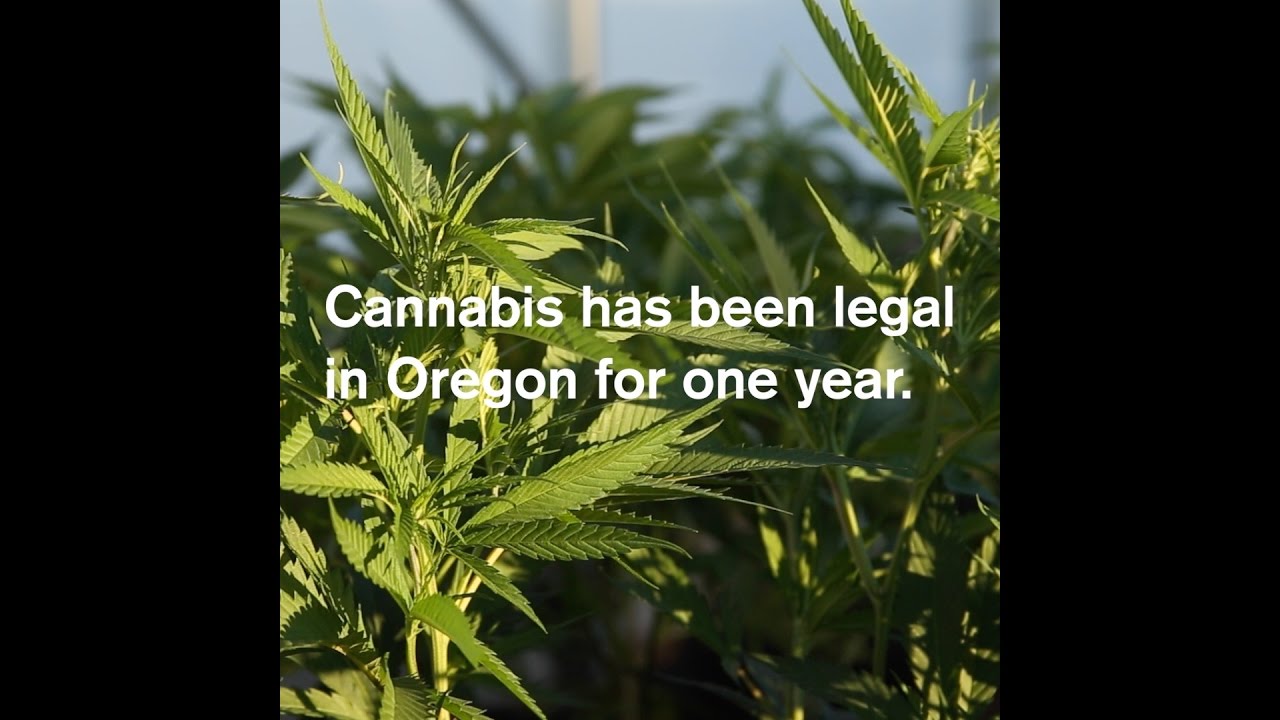 Happy Cannabis Legalization Anniversary Oregon!