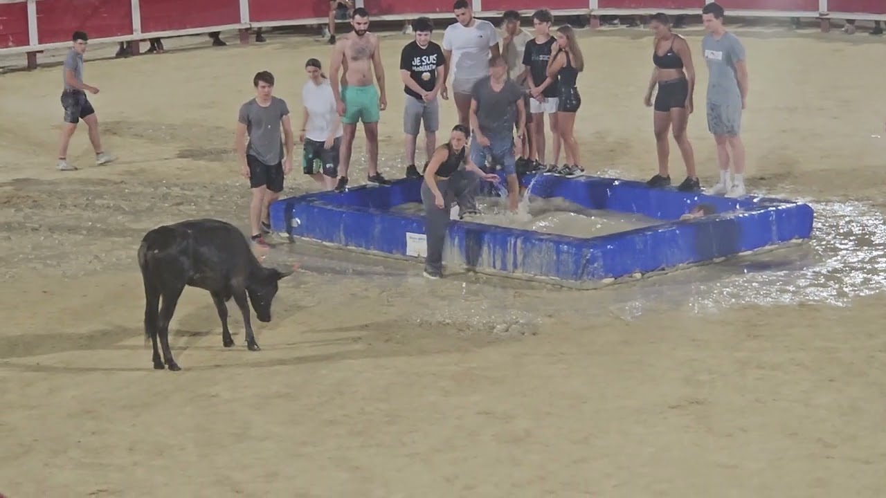 Feria 2025 taureau piscine l'homme statue filles a l'honneur 