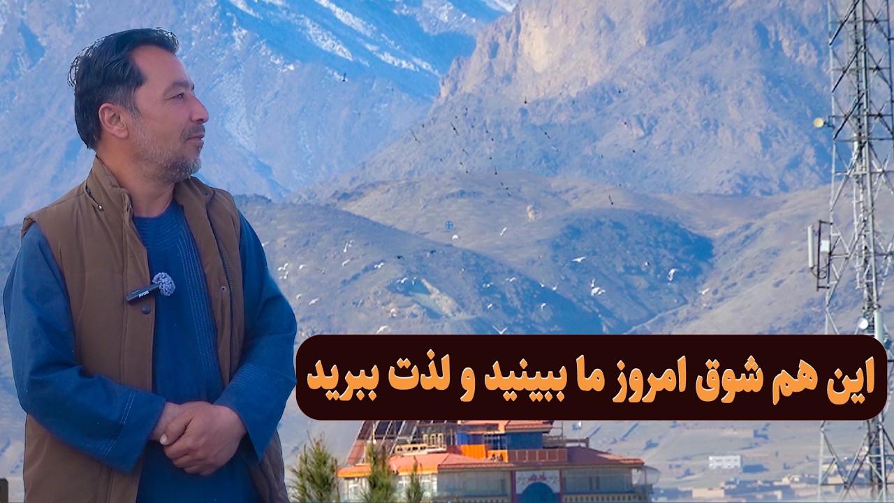 0465این هم شوق امروز ما ببیننده و لذت ببرید/Afghan Shawqi