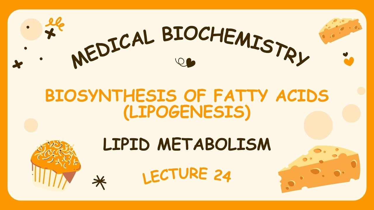 Lecture 24 | Biosynthesis of fatty acids (Lipogenesis)
