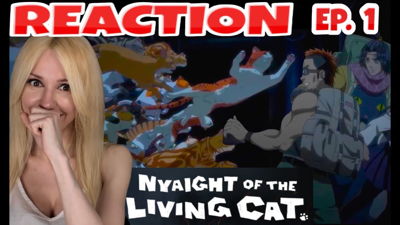 Nyaight of the living Cat Ep 1 Reaction Video Episode 1 Everything Becomes Cat ニャイト・オブ・ザ・リビングキャット