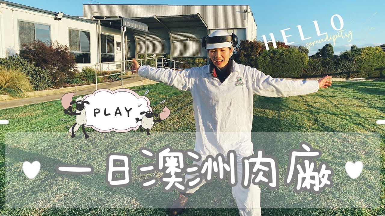 VLOG-04 澳洲肉廠🐑工作最後一天/打工度假/我畢業啦