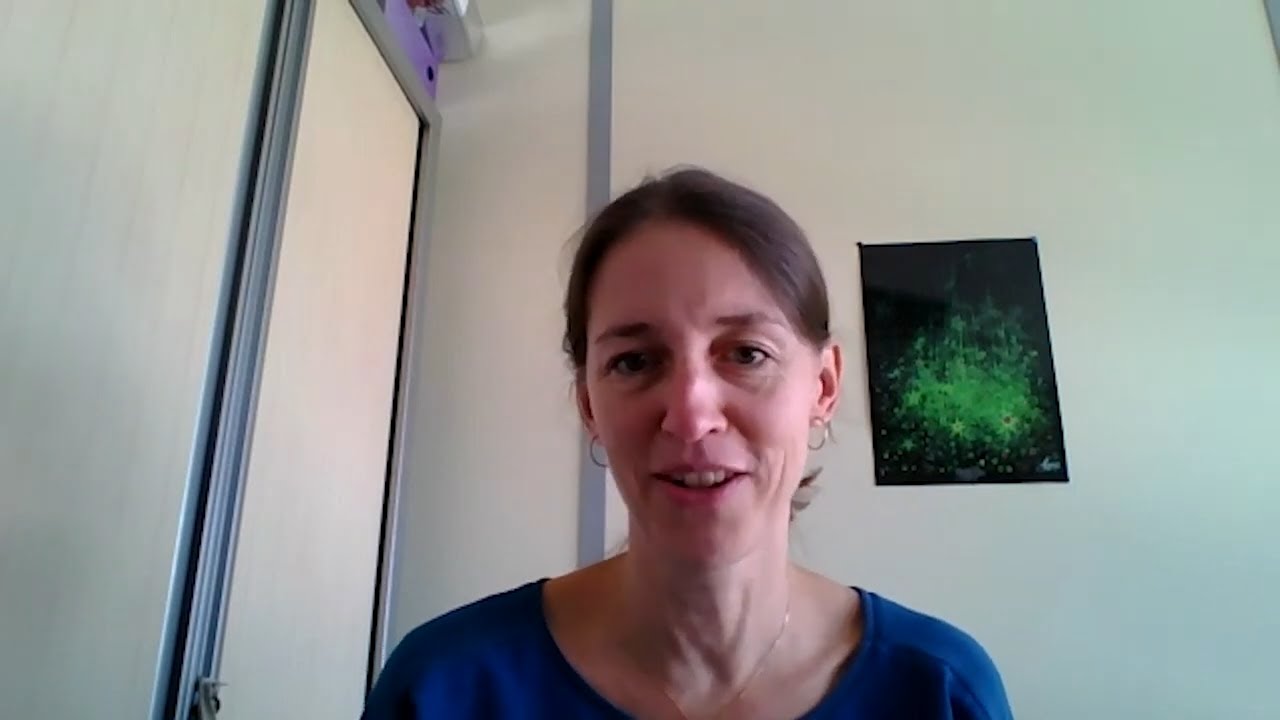 How is astrocyte reactivity controlled?