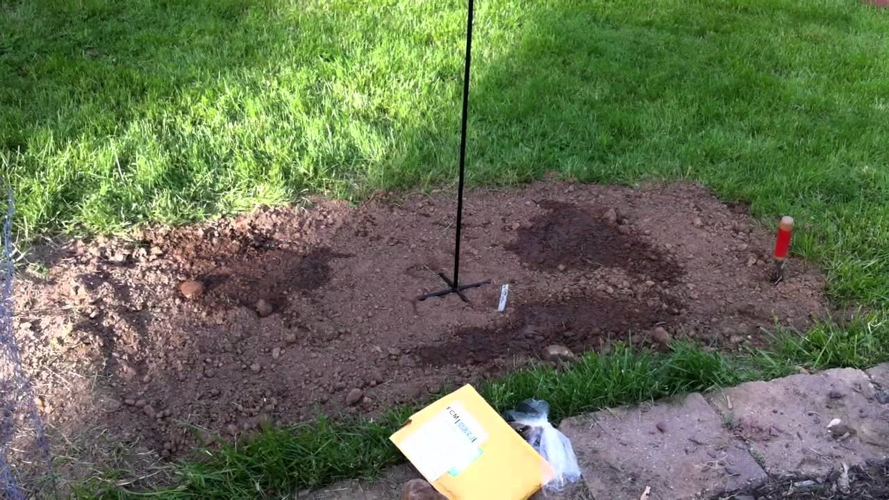 Growing Hops and Brewing Beer - Hop Project Episode 1