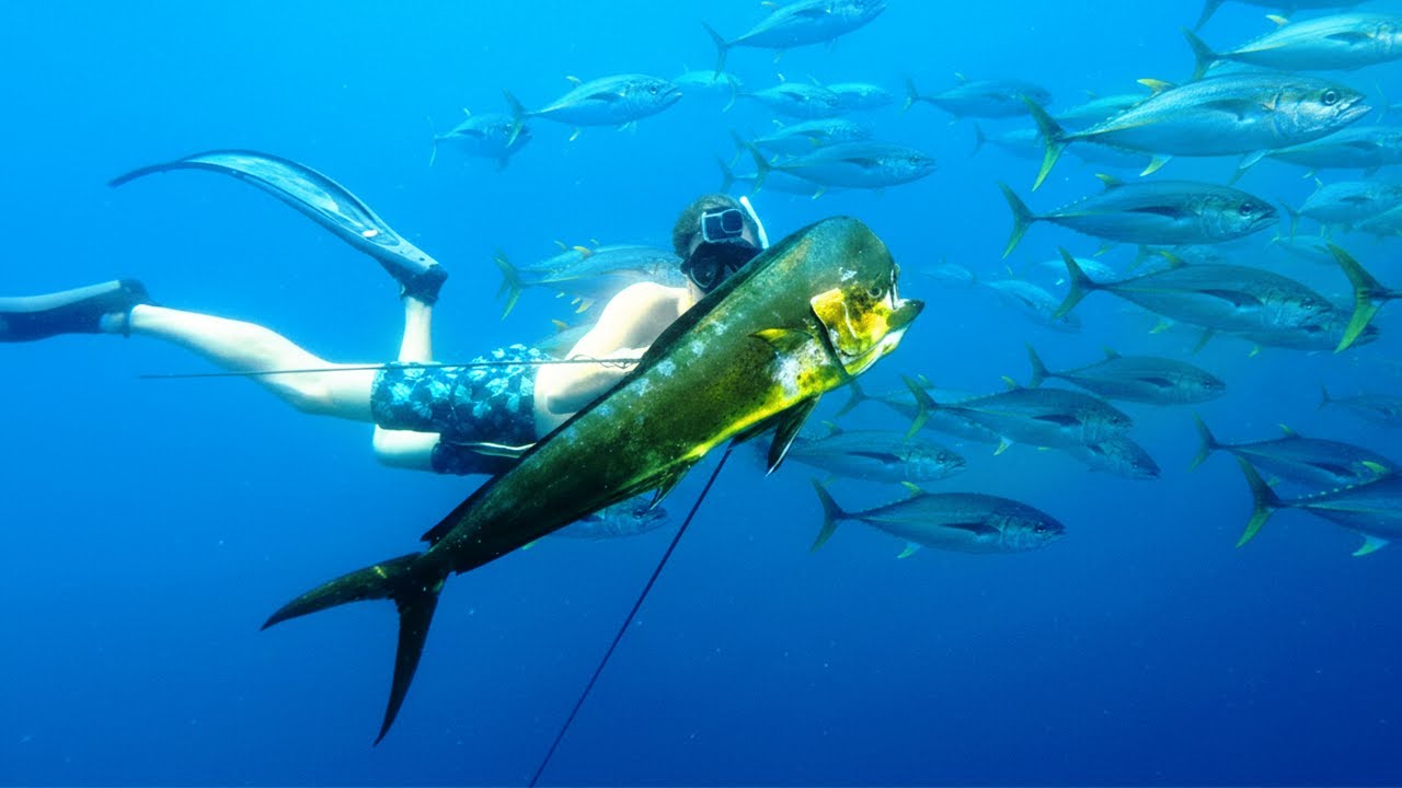 What Is This Place? TROPHY Spearfishing EVERYWHERE!