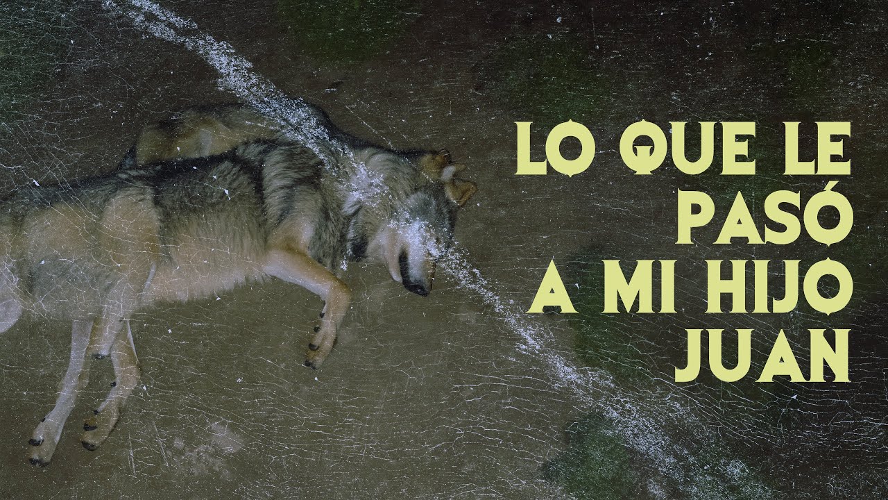 LO QUE LE PASO A MI HIJO JUAN (Historias Del Campo)