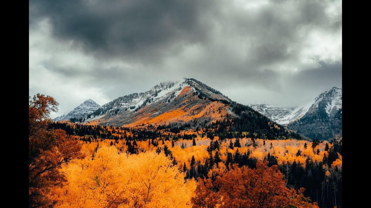 Music for Relaxation and Inner Peace