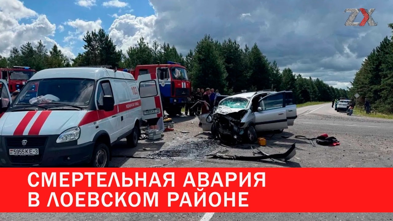 Fatal Crash in Loyevsky District | Zona X
