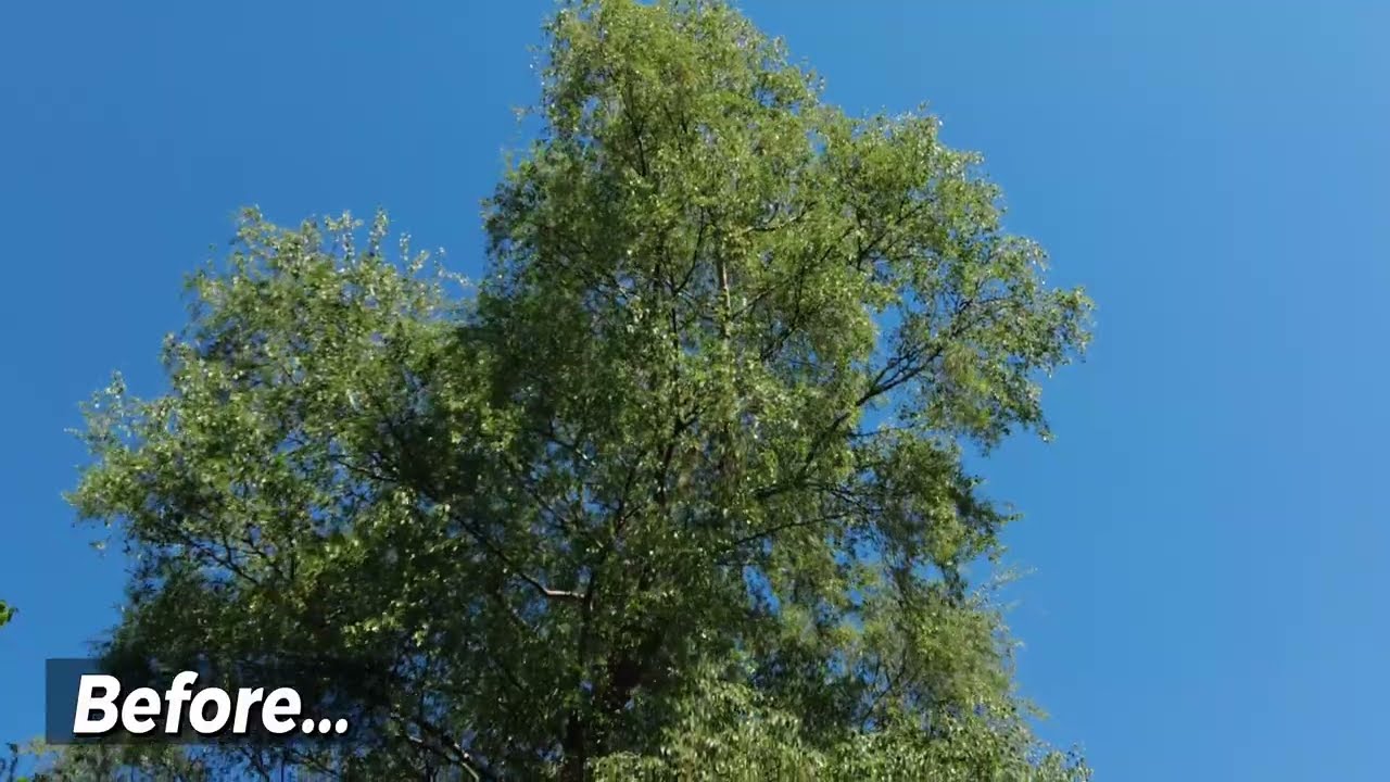 Reveal the sky...