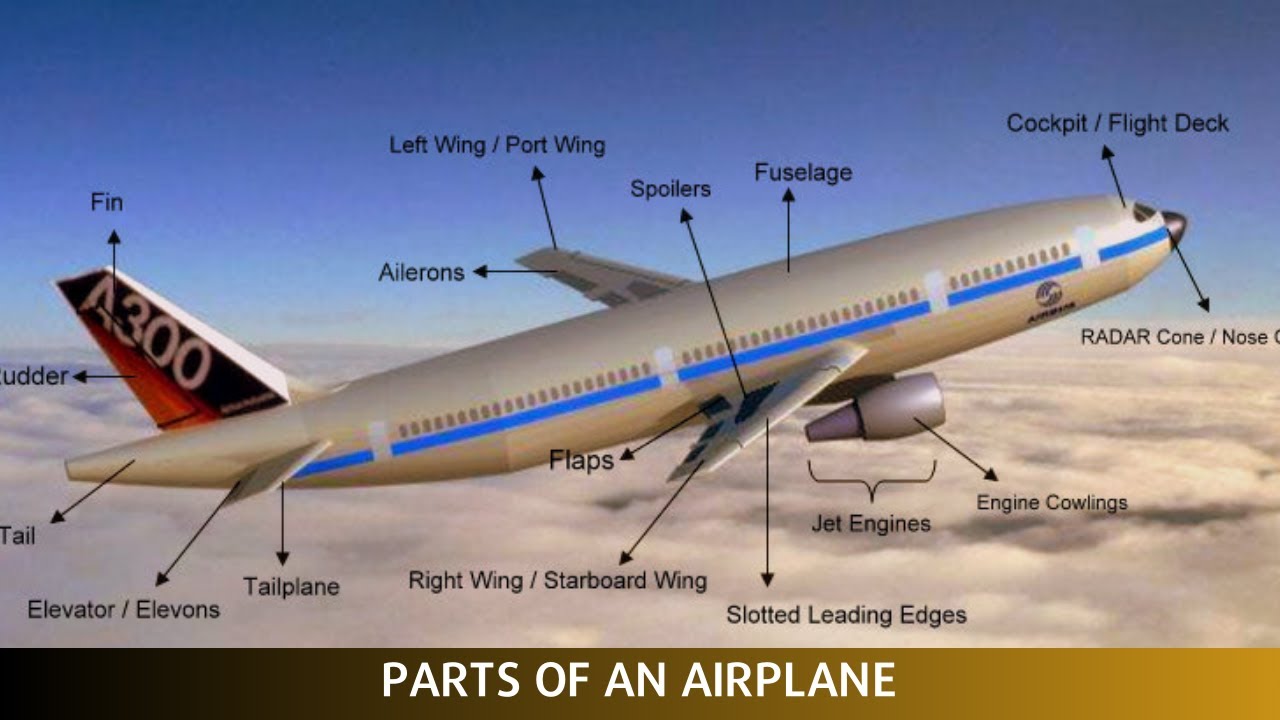 Airplane Anatomy: Parts and Functions Explained