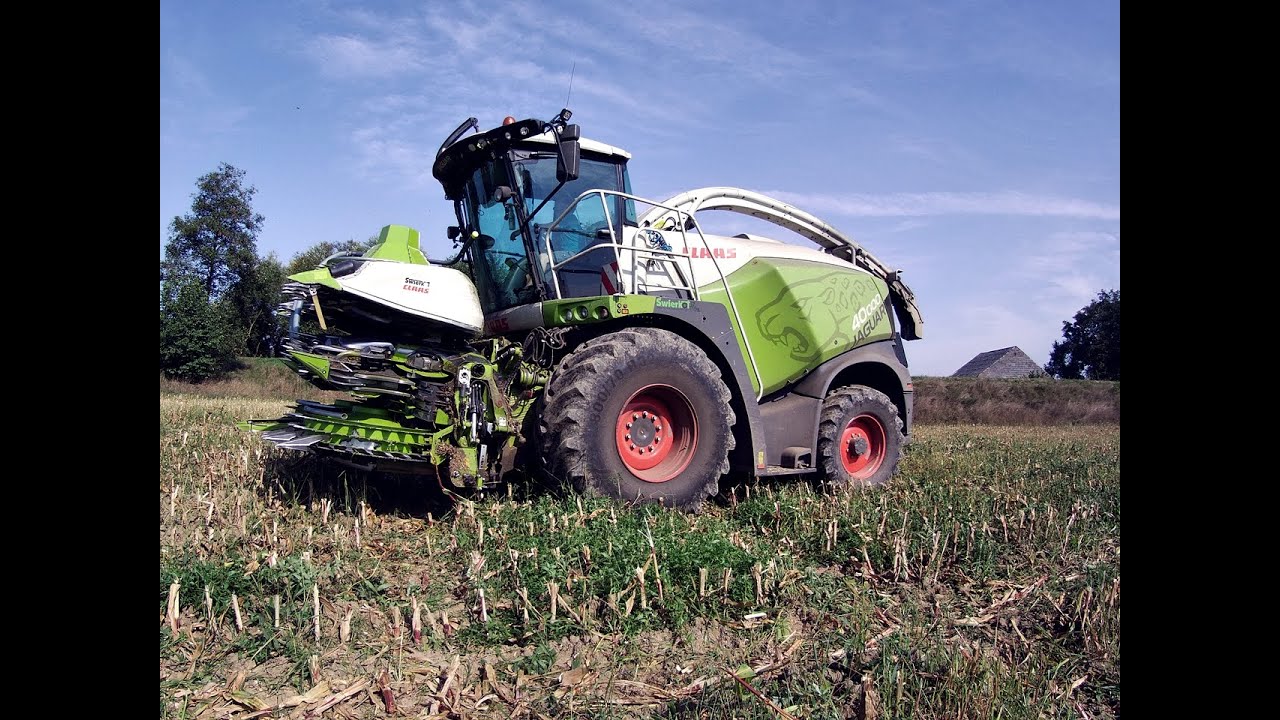 ŚWIERKOT TEAM W AKCJI ! KUKURYDZA W RĘKAW 2024 /GR MAGIERA/ CLAAS JAGUAR 40000 / 3 x CLAAS / KAWECO