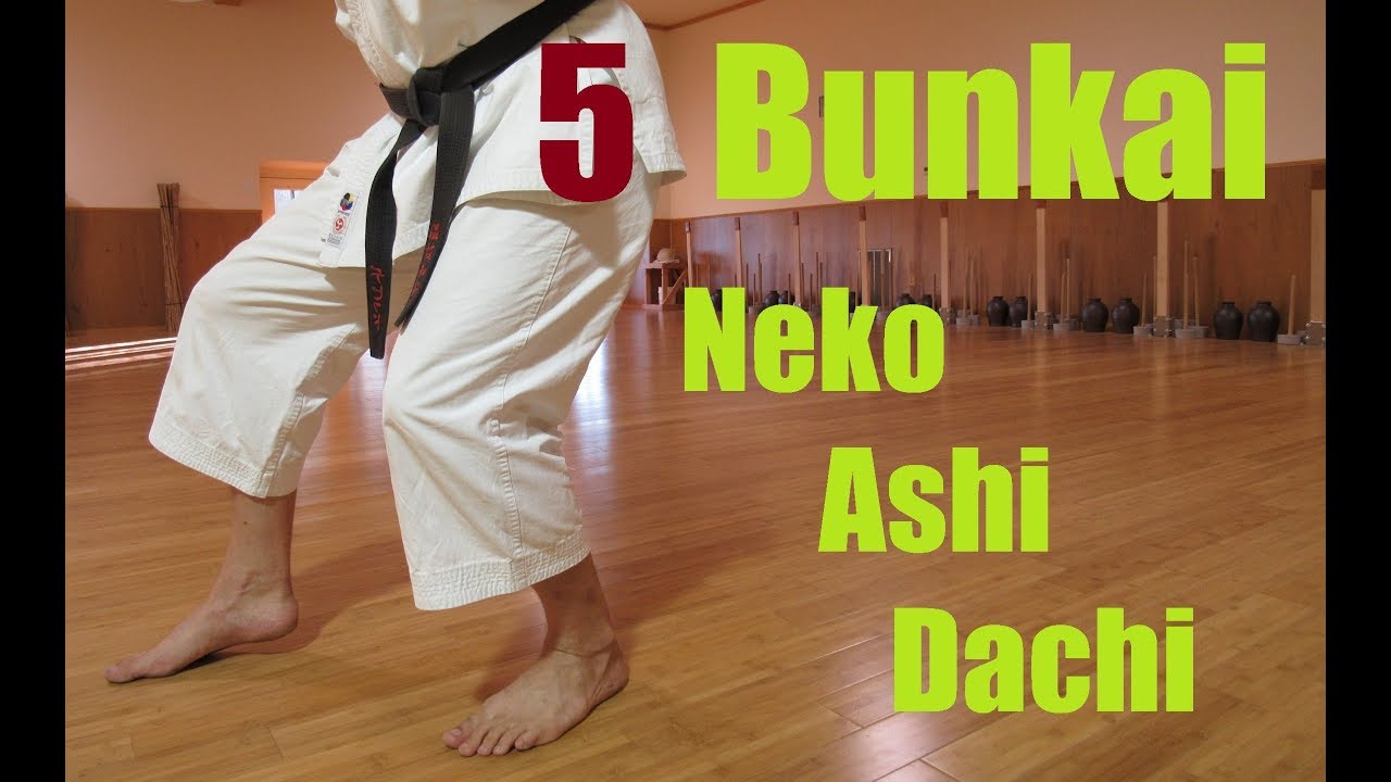 5 Neko Ashi Dachi Oyo Bunkai