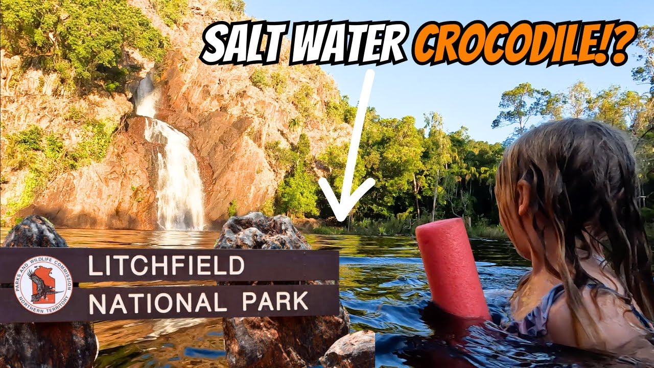 2.5m SALTIE ATTACKS MAN WHERE WE ARE SWIMMING... || Litchfield National Park |  FAMILY CARAVAN TRIP