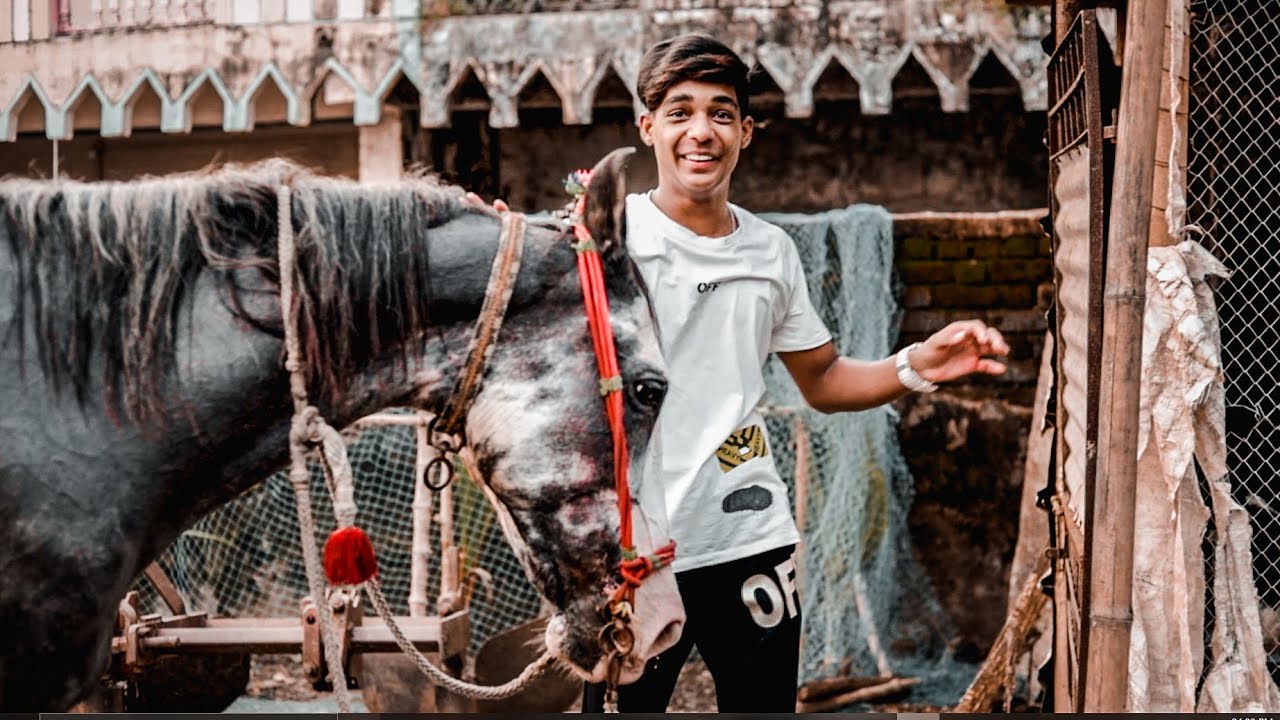 EXPERIENCED REAL HORSE POWER 🦾