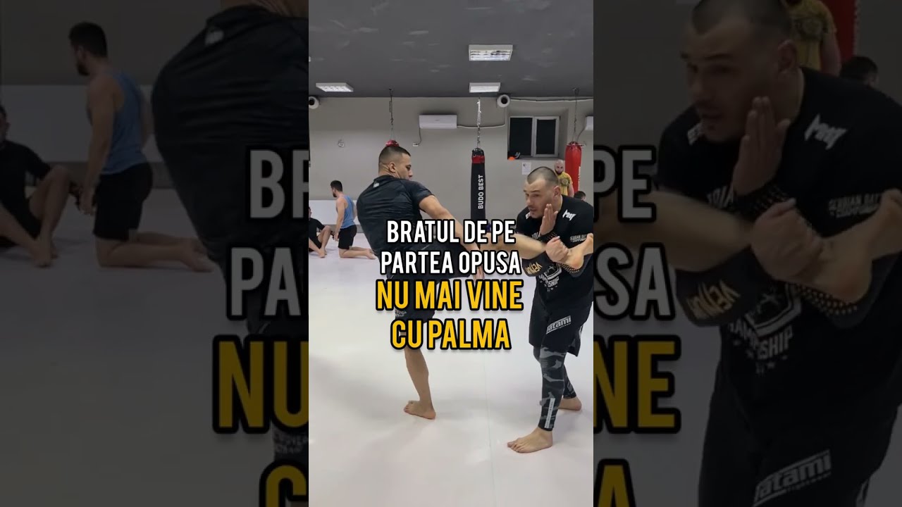2 lucruri de baza despre blocajele la midkick - Tehnica zilei cu Professor Paul Radu