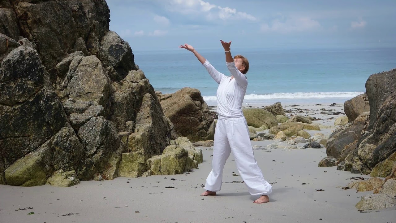 Nei Yang Gong - Yi Jin Xing Qi Fa Teil1