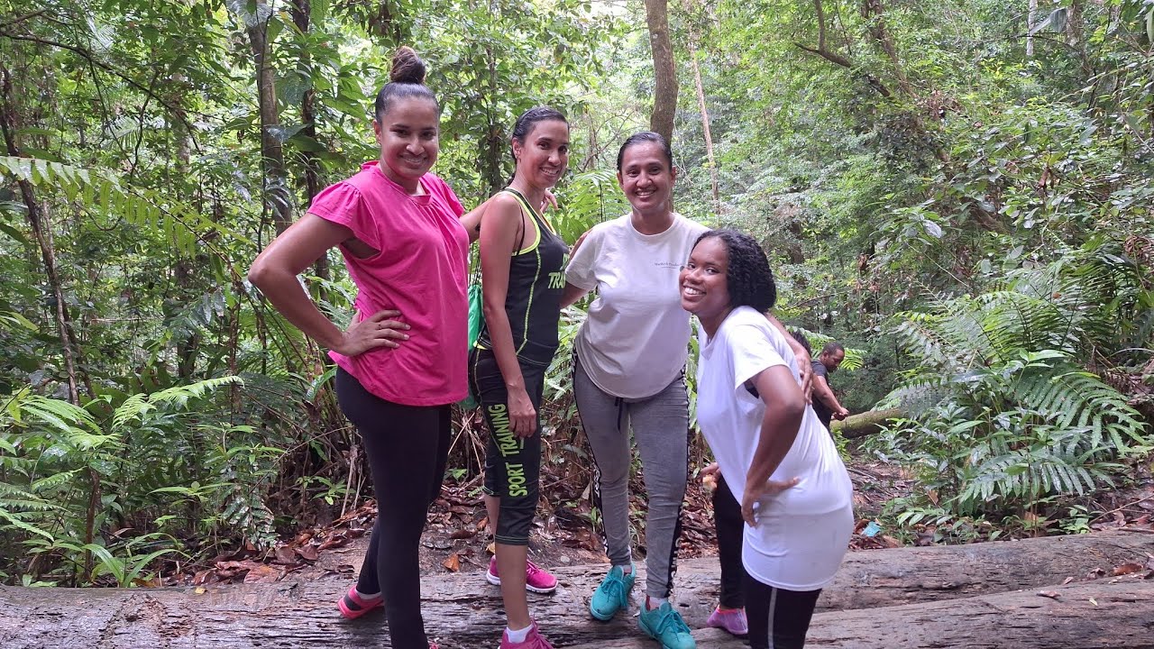 From Forest to Falls: The Turure Watersteps Journey 🌊🇹🇹