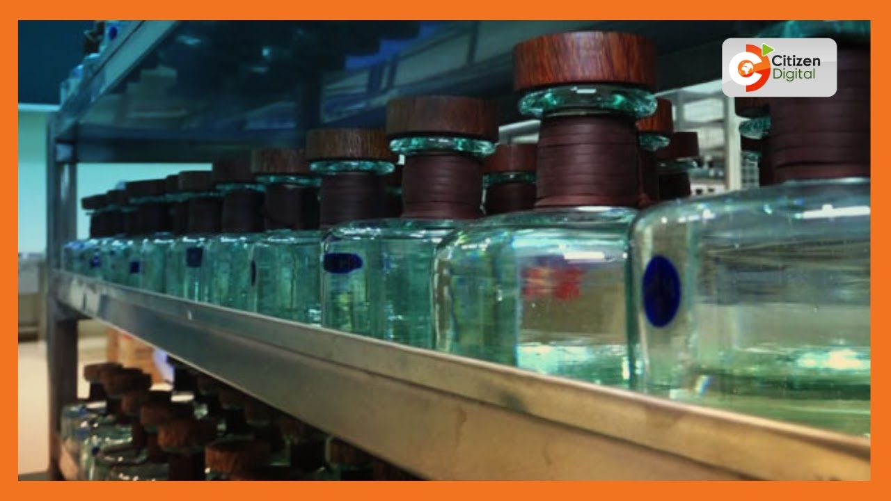 Made in Kenya | Nairobi distillers making Gin from African Juniper