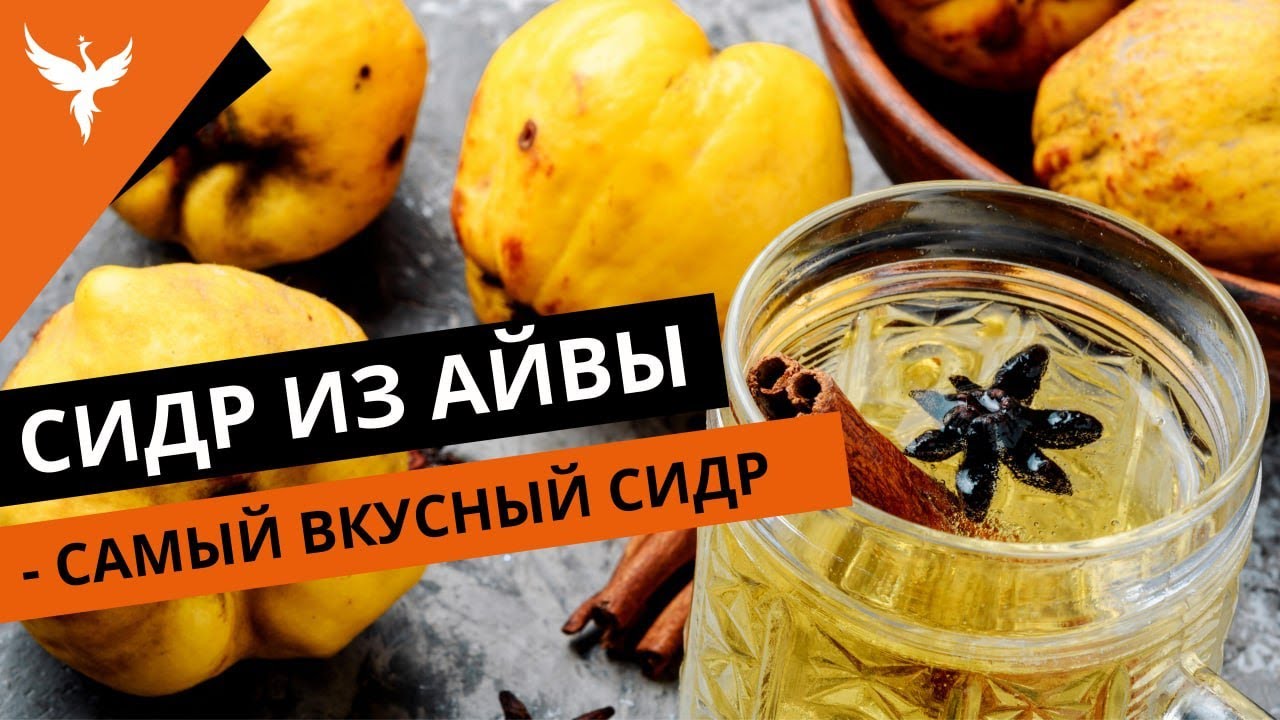 Сидр из айвы - самый вкусный сидр, что я пробовал в домашних условиях