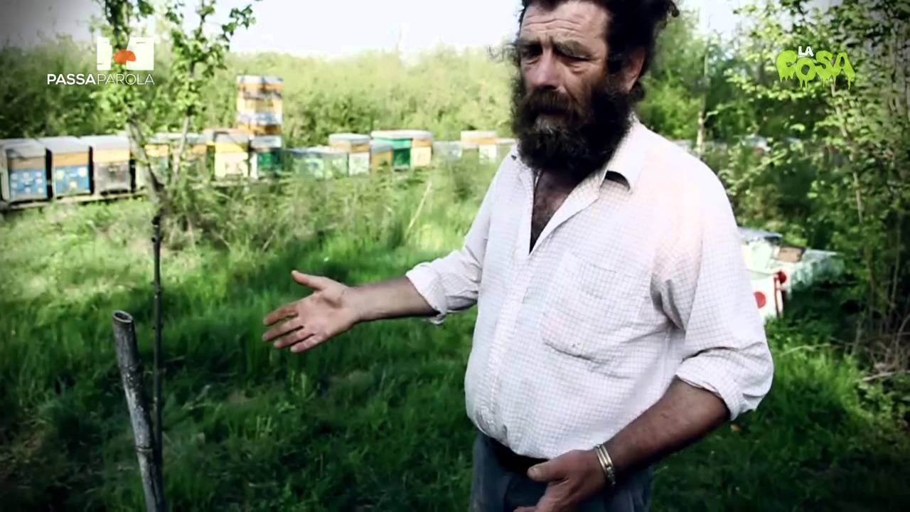Passaparola: Salviamo le api per salvare il pianeta di Giorgio Torazza