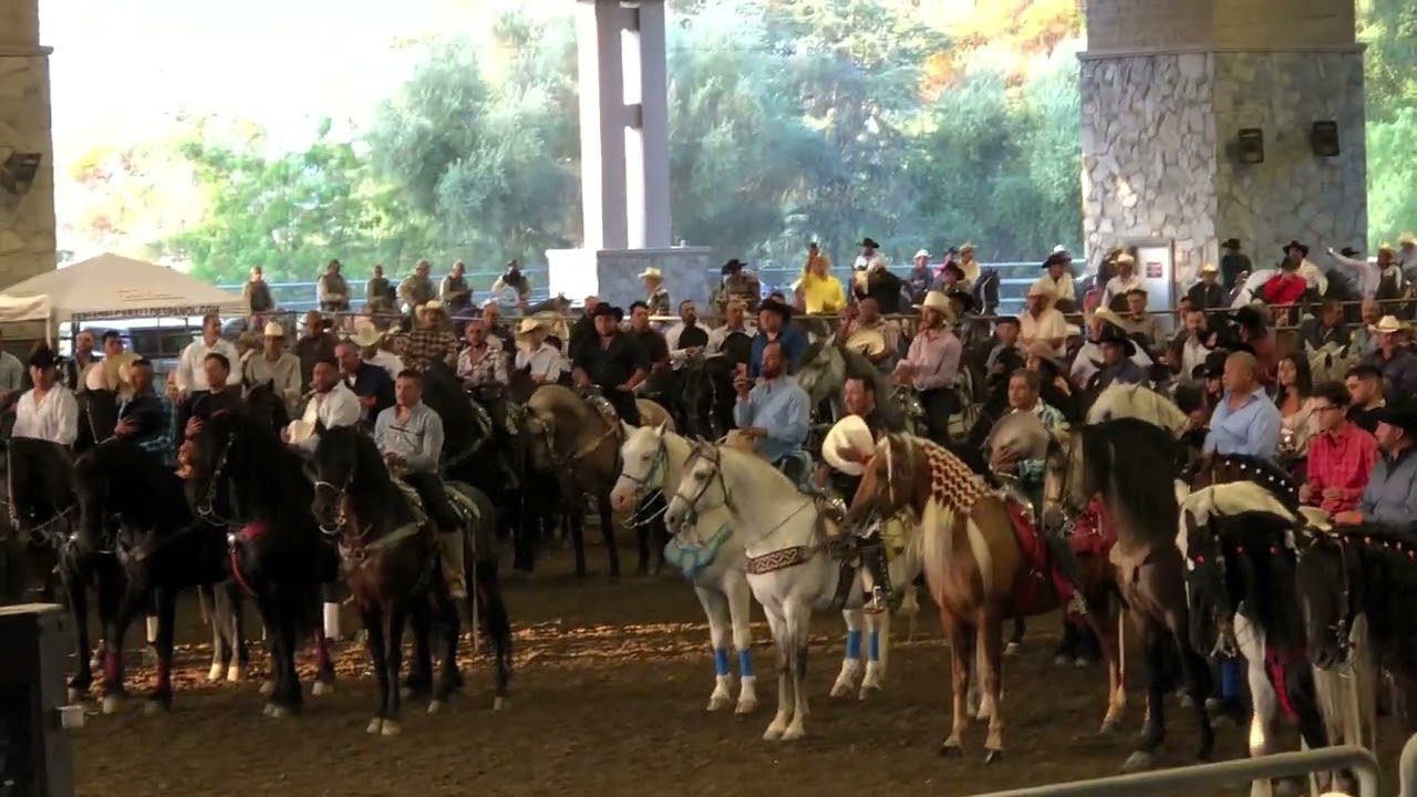 FERIA DEL CABALLO ESPAÑOL 5/7/2022