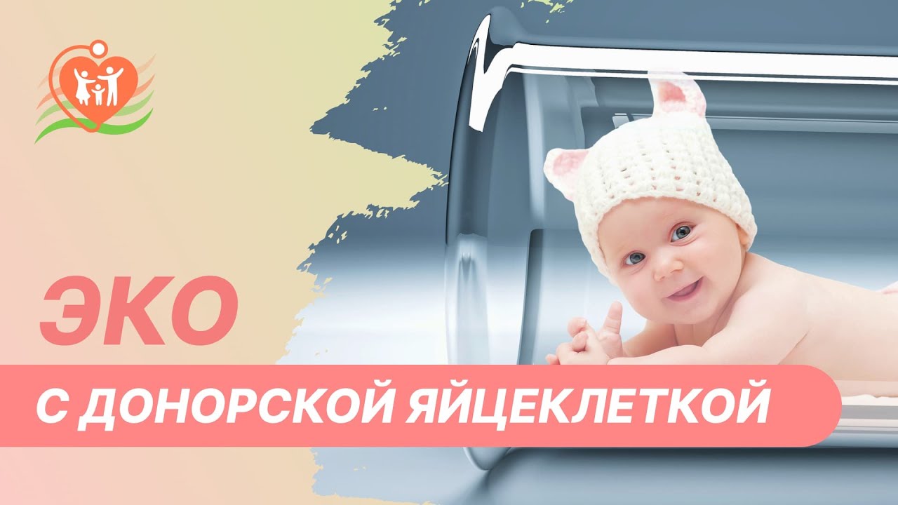 🔵 ЭКО с донорской яйцеклеткой