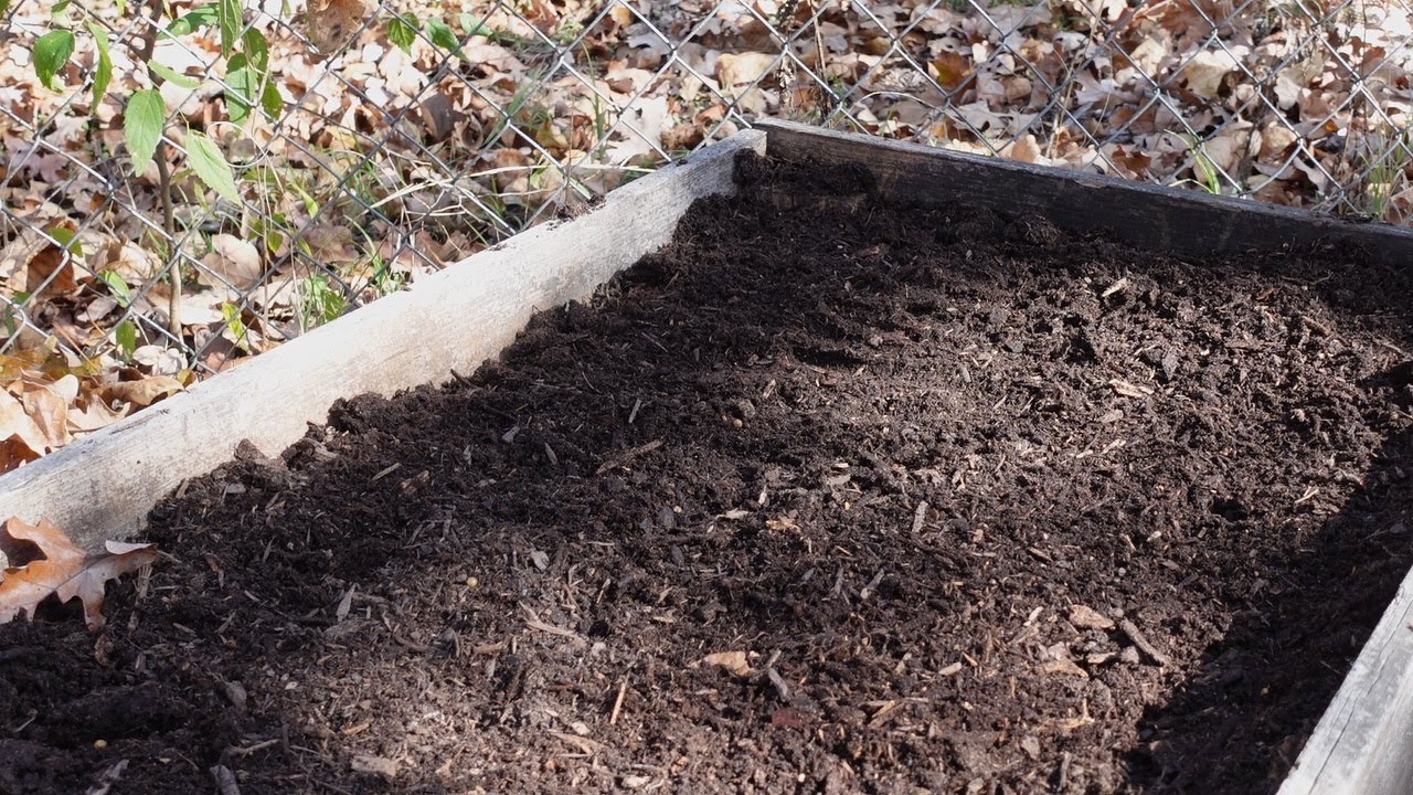 Planting Fall Garlic, Covering My Strawberry Bed for Winter.