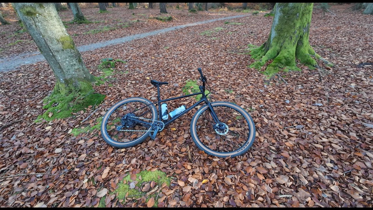 Marin Muirwoods ride