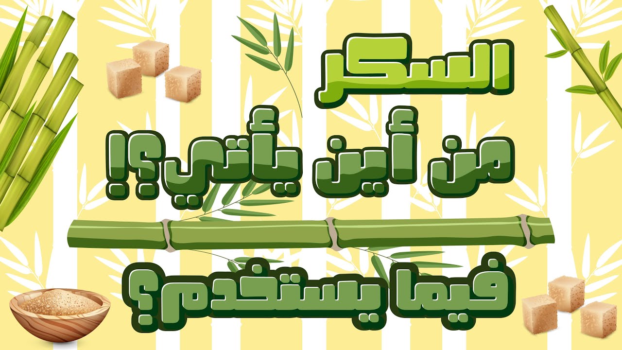 تعليم الأطفال من أين يأتي السكر _ كيف يصنع السكر _ sugar _ للأطفال بطريقة سهلة وممتعة