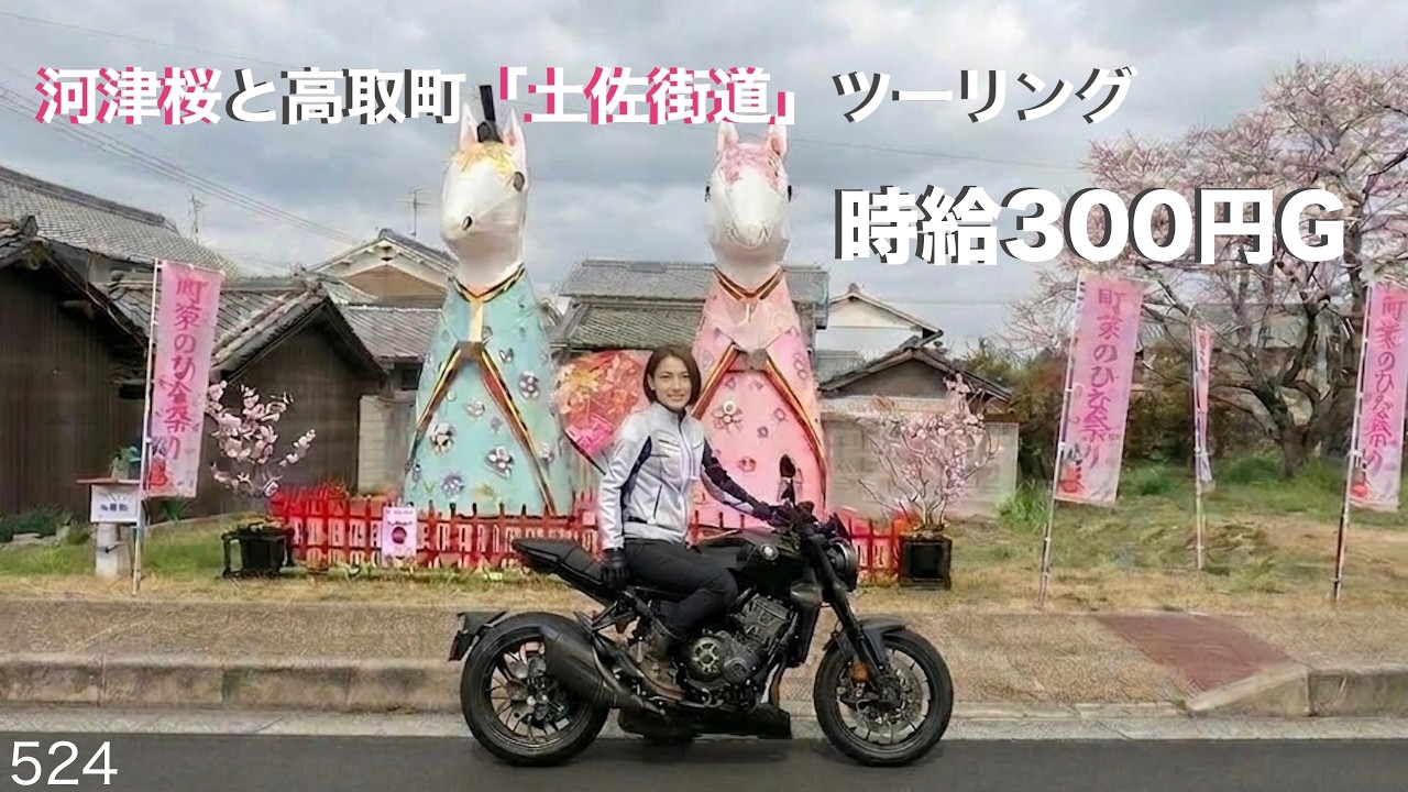 明日香村河津桜と高取町「土佐街道」ツーリング