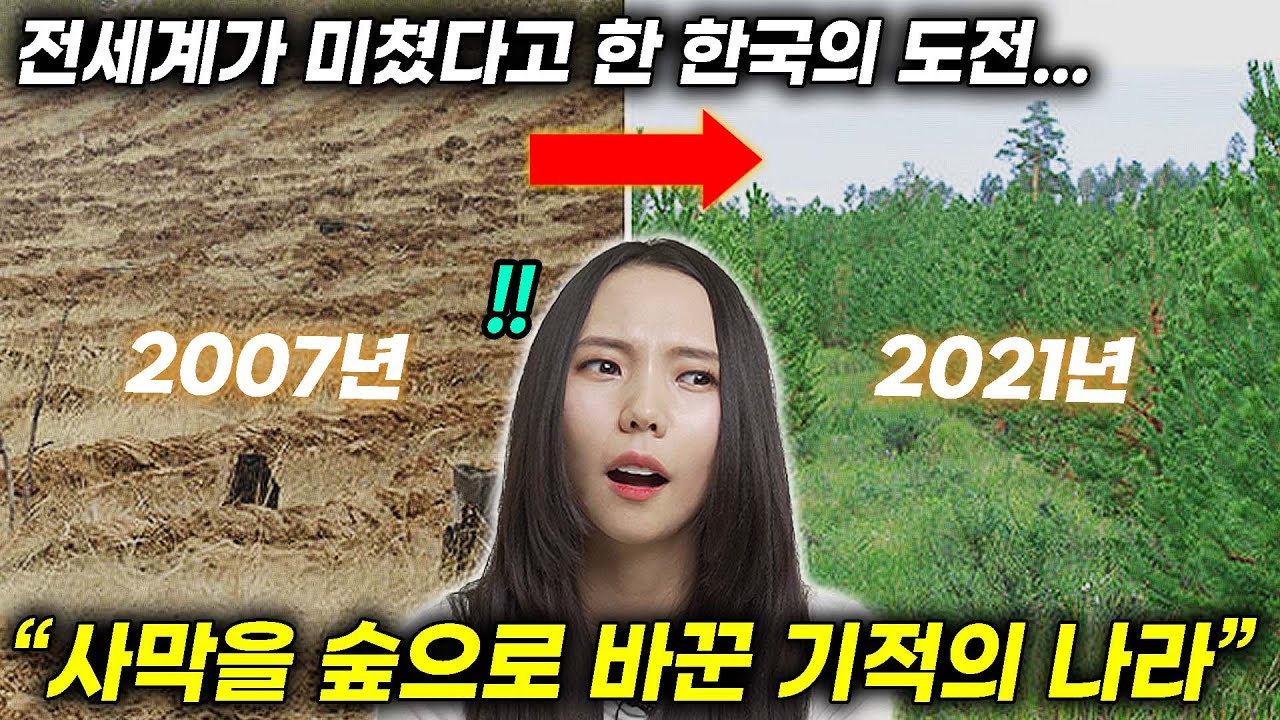 한국인들이 끝없는 사막을 울창한 숲으로 만들어버리자 제 2의 한국이 되었다는 `이 나라?`