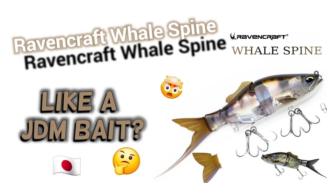 Krasser Köder von Aliexpress - Ravencraft Whale Spine Glidebait