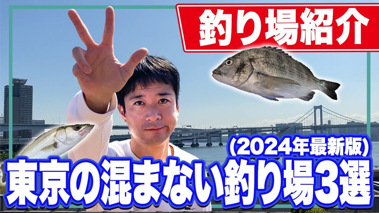 【豊洲ぐるり公園】人混みが嫌いなあなたにストレスの少ない釣り場をご紹介