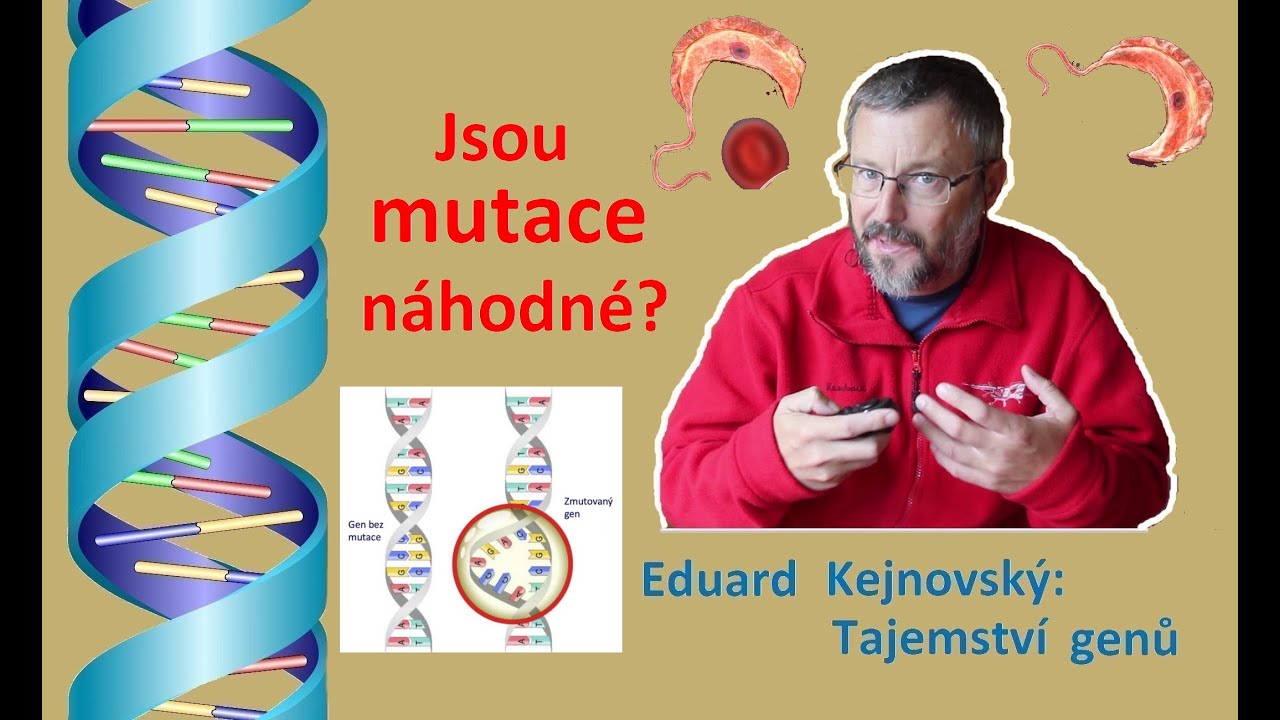 Mýlil se Darwin? Jsou mutace náhodné? (Tajemství genů 120, nové pozadí)