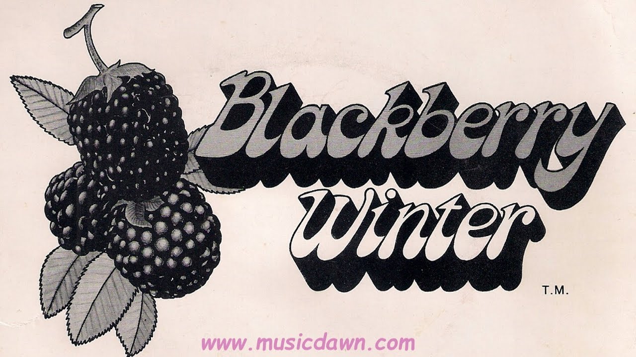 Blackberry Winter - The Aging [Chamus] 1975 Xian Folk Rock 45