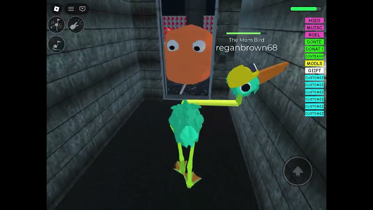 I find items in bird with tnt supposed to be bird trying to get scp but it soon