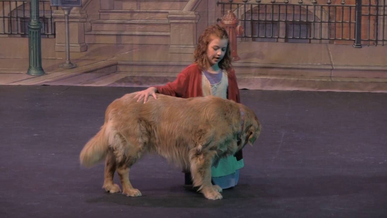 2015 Annie Jr