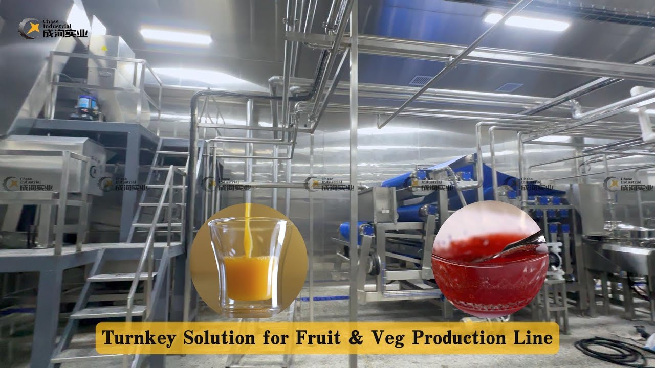 Full Fruit & Veg Processing Line: Turnkey Solution by Shanghai Chase